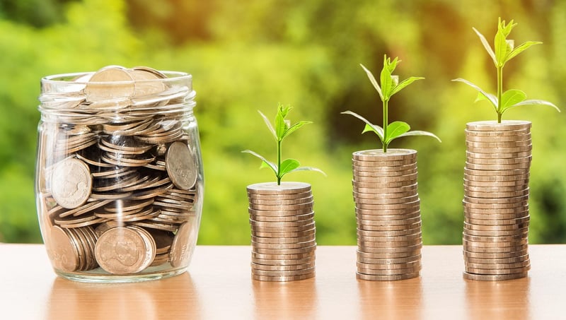Investment Options